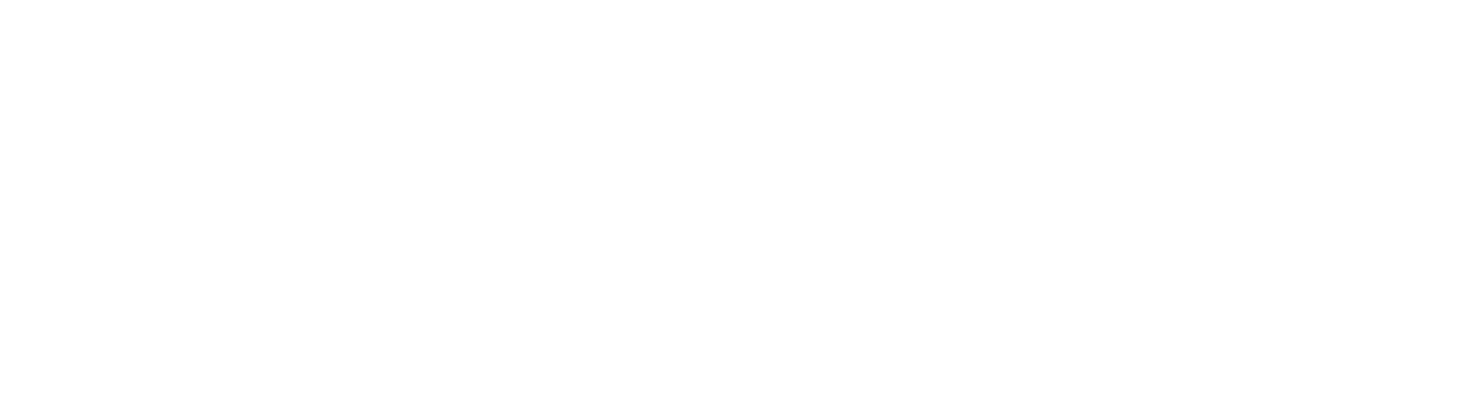 Vizible Marketing Agency logo